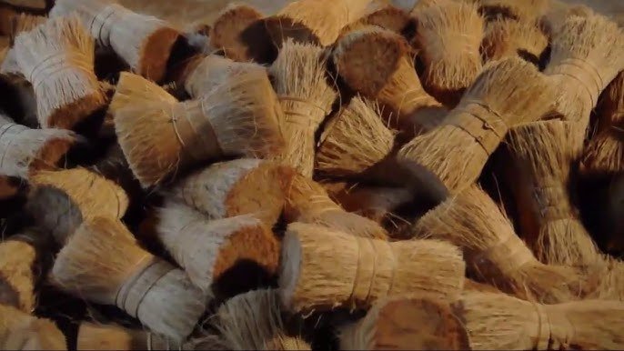 Coco Bristle